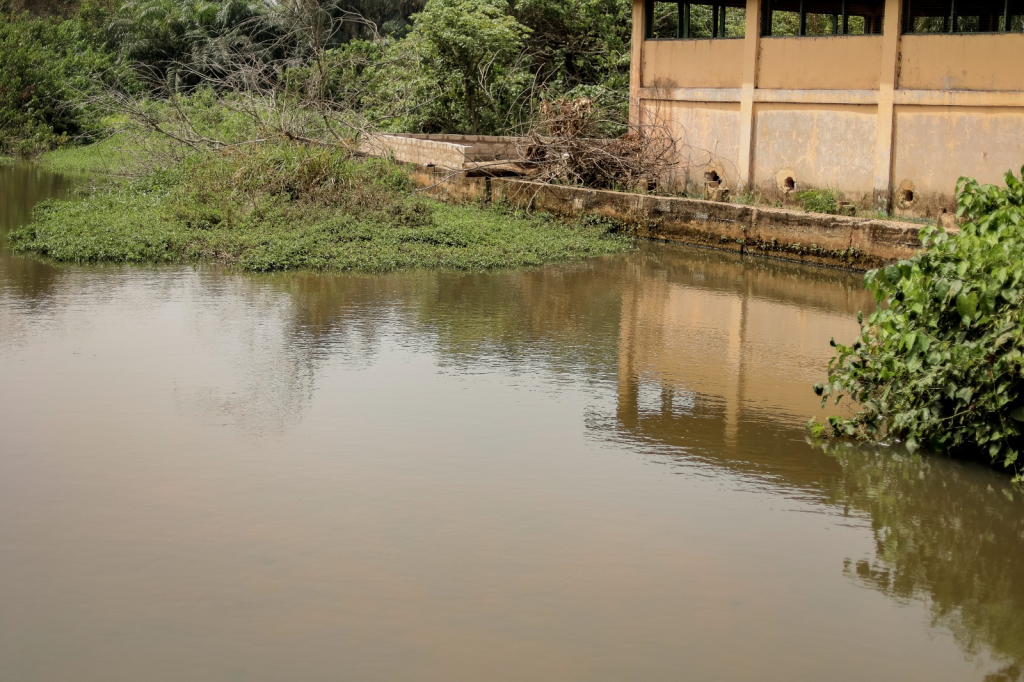 Volta Corridor 2