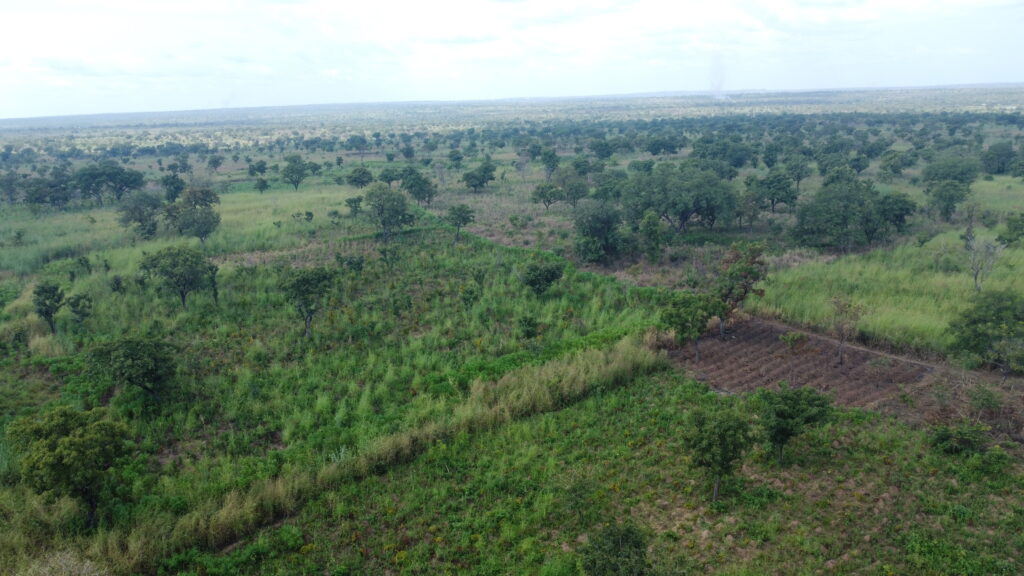 Oti Drone view