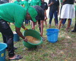Participant engaging in Practical Session