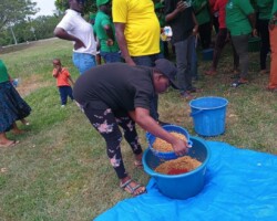 Participant engaging in Practical Session