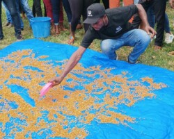 Participant engaging in Practical Session